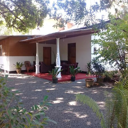 Tusker'S Paradise Safari Villa Udawalawe Dış mekan fotoğraf