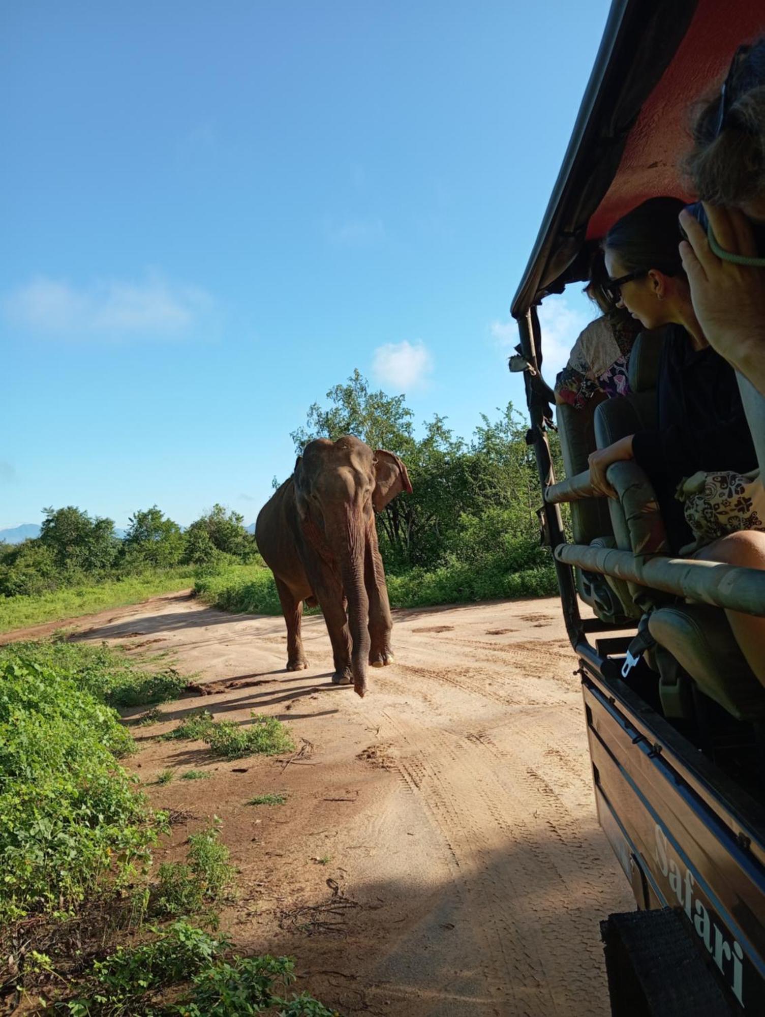 Tusker'S Paradise Safari Villa Udawalawe Dış mekan fotoğraf