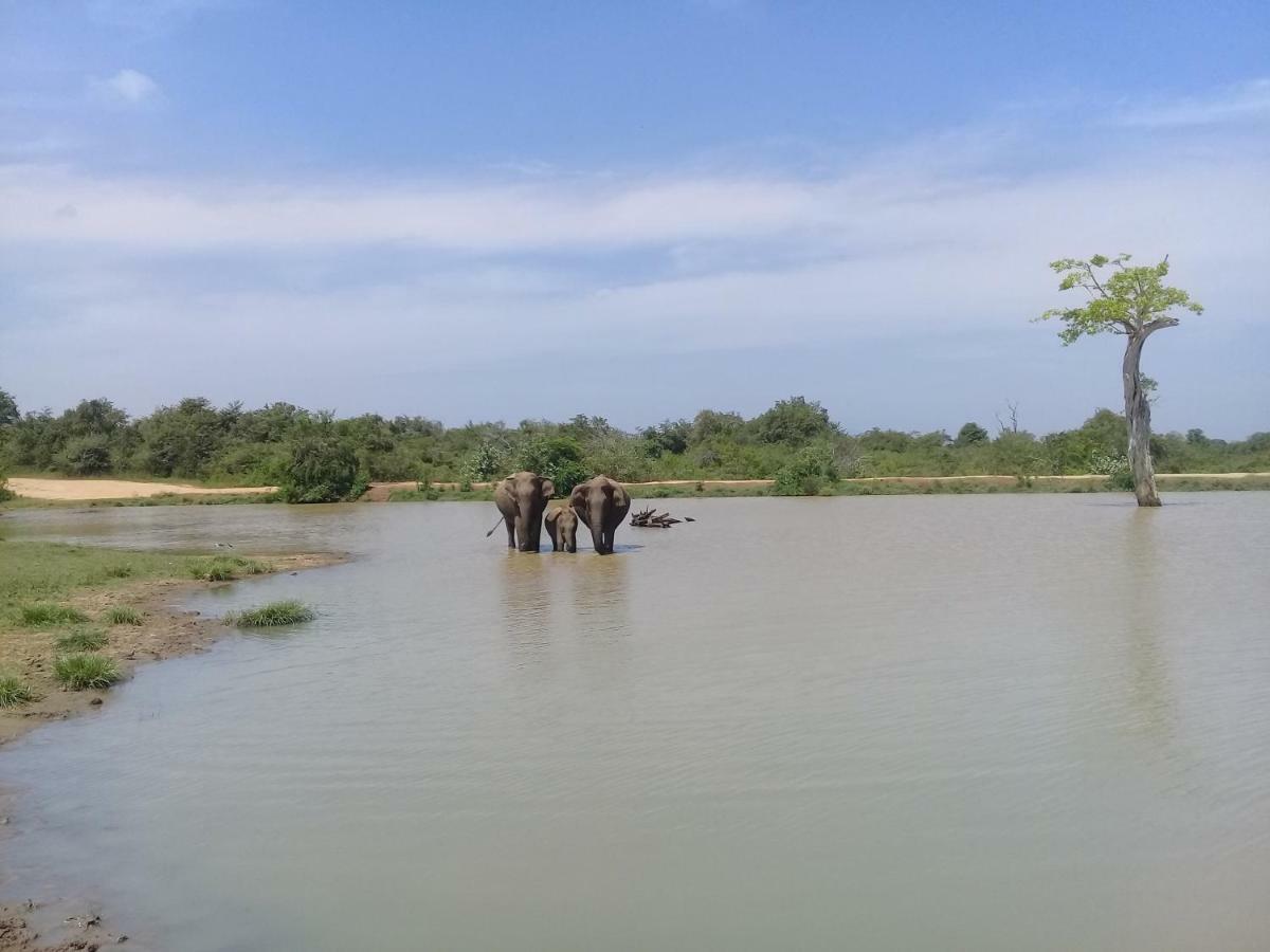 Tusker'S Paradise Safari Villa Udawalawe Dış mekan fotoğraf