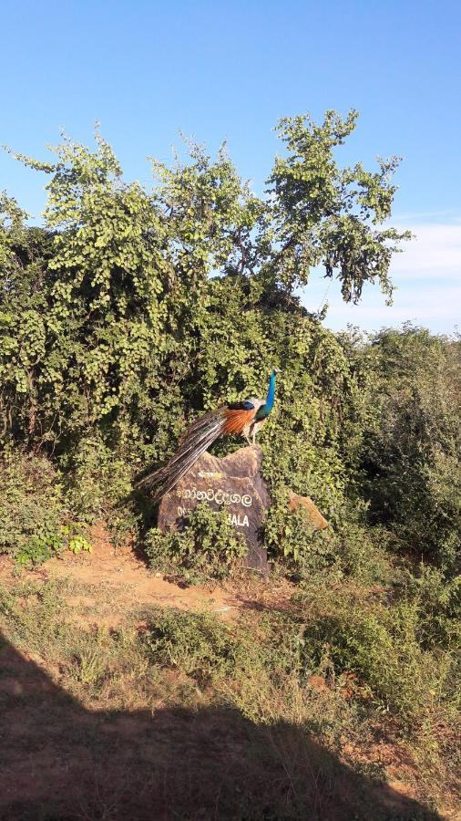 Tusker'S Paradise Safari Villa Udawalawe Dış mekan fotoğraf