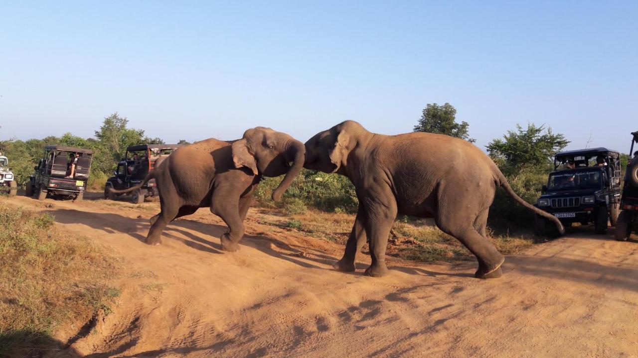 Tusker'S Paradise Safari Villa Udawalawe Dış mekan fotoğraf